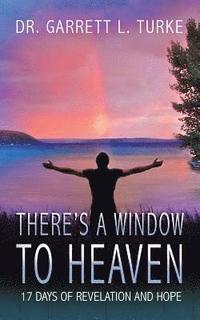 bokomslag There's a Window to Heaven: 17 Days of Revelation and Hope
