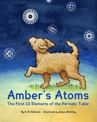 bokomslag Amber's Atoms