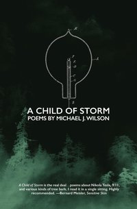 bokomslag A Child of Storm