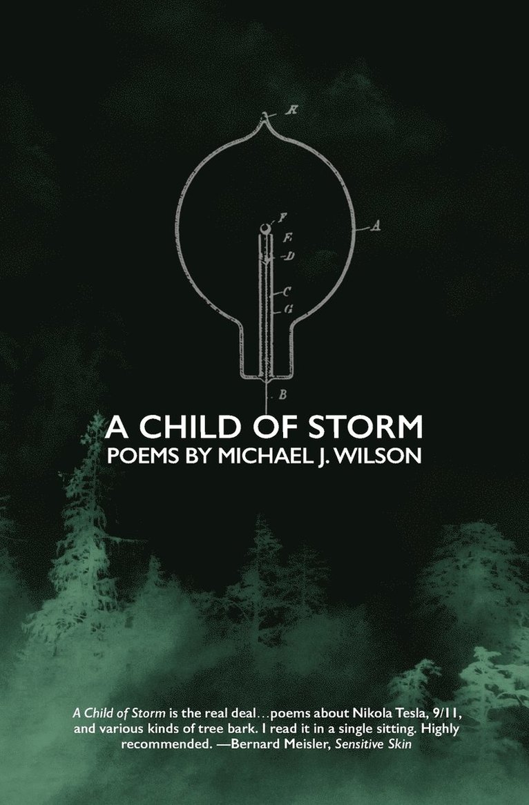 A Child of Storm 1