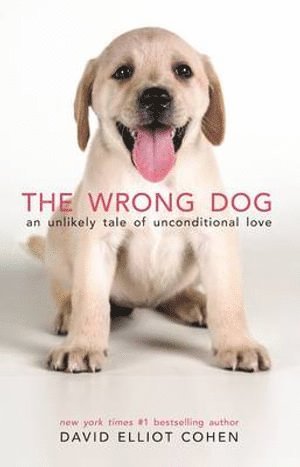 David Elliot Cohen - Wrong Dog, Inbunden