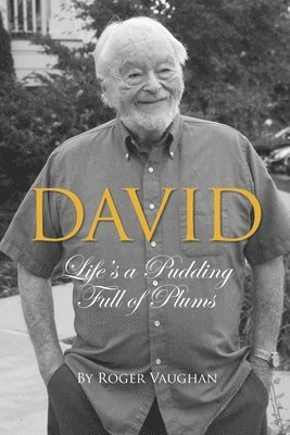 bokomslag David: Life's a Pudding Full of Plums