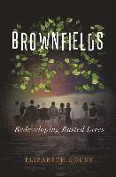 bokomslag Brownfields