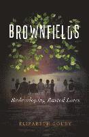 Brownfields 1