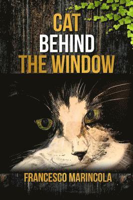 Cat Behind the Window 1
