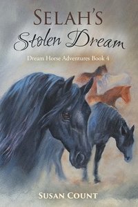 bokomslag Selah's Stolen Dream