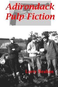 bokomslag Adirondack Pulp Fiction