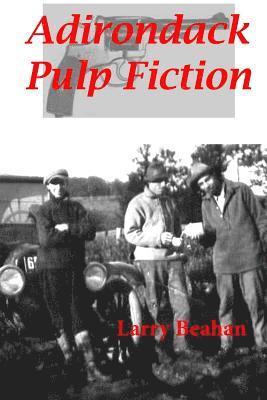 bokomslag Adirondack Pulp Fiction