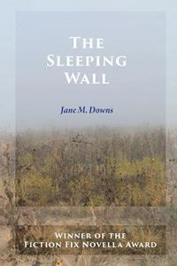 bokomslag Sleeping Wall