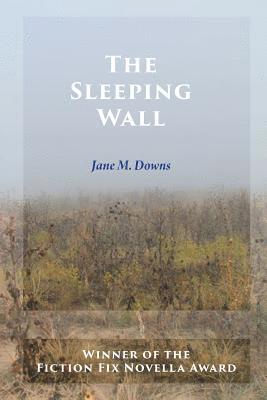 bokomslag Sleeping Wall