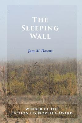 The Sleeping Wall 1