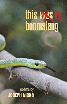 bokomslag this is boomslang