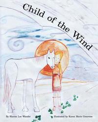 bokomslag Child of the Wind