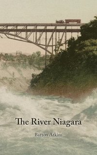 bokomslag The River Niagara