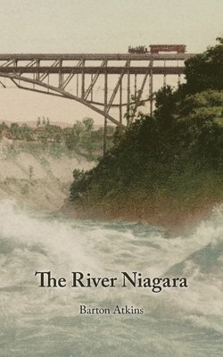 The River Niagara 1