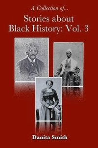 bokomslag Stories about Black History