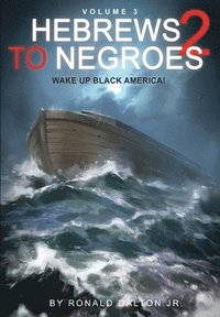 bokomslag Hebrews to Negroes 2 Volume 3