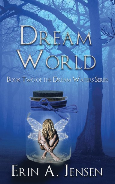 bokomslag Dream World