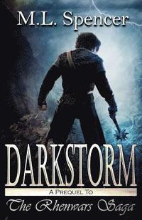 bokomslag Darkstorm