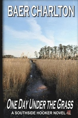 Baer Charlton - One Day Under the Grass, Häftad