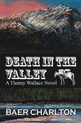 bokomslag Death in the Valley