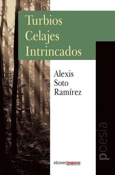 bokomslag Turbios Celajes Intrincados