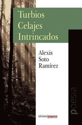 Alexis Soto Ramírez, José Antonio Michelena - Turbios Celajes Intrincados, Häftad