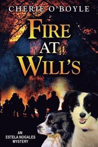 bokomslag Fire at Will's