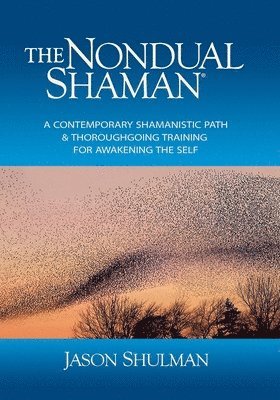 bokomslag The Nondual Shaman: A Contemporary Shamanistic Path & Thoroughgoing Training for Awakening the Self