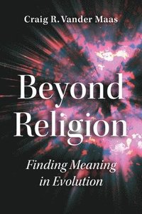 bokomslag Beyond Religion