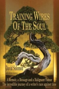 bokomslag TRAINING WIRES OF THE SOUL The Dead Saints Chronicles