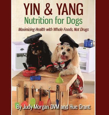 bokomslag Yin & Yang Nutrition for Dogs