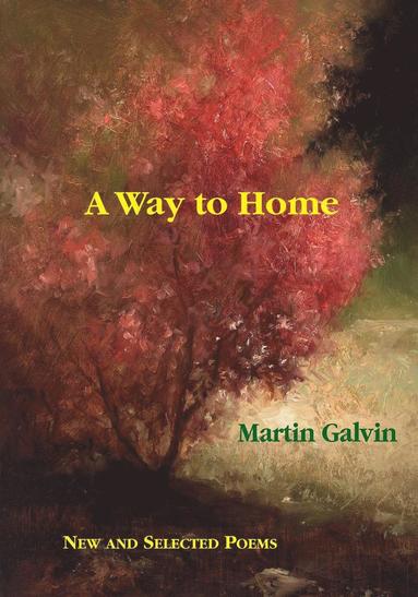 Martin Galvin - Way to Home, Häftad