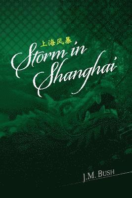 bokomslag Storm in Shanghai