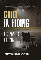 bokomslag Guilt in Hiding