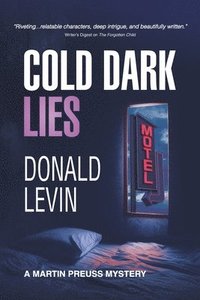 bokomslag Cold Dark Lies