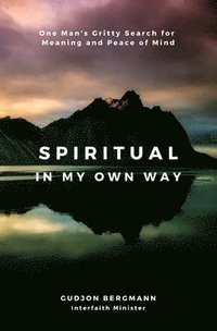 bokomslag Spiritual in My Own Way: One Man's Gritty Search for Meaning and Peace of Mind