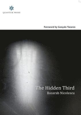 Basarab Nicolescu - Hidden Third, Häftad