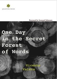 bokomslag One Day in the Secret Forest of Words