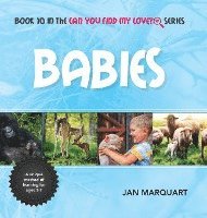 Jan Marquart - Babies: Book 10 in the Can You Find My Love? Series, Inbunden