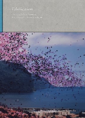 Falsification - Photographs by Seba Kurtis with a Story by Hiromi Kawakami, Inbunden