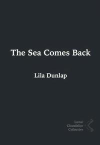 bokomslag The Sea Comes Back