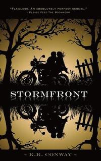 bokomslag Stormfront