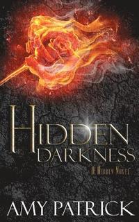 bokomslag Hidden Darkness, Book 4 of the Hidden Saga
