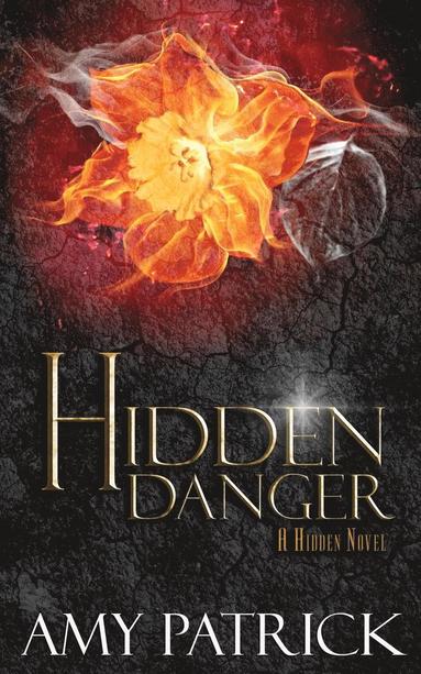 bokomslag Hidden Danger, Book 5 of the Hidden Saga