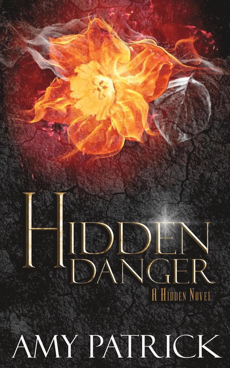 Amy Patrick - Hidden Danger, Book 5 of the Hidden Saga, Häftad