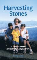 Paula Lucas - Harvesting Stones: An American woman's international journey of survival, Häftad