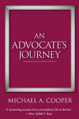 bokomslag An Advocate's Journey