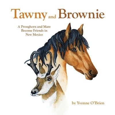 Yvonne C O'Brien, Yvonne C. O'Brien, C. O'Brien, Yvonne, David Perez - Tawny and Brownie, Häftad