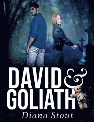 Diana Stout - David & Goliath, Häftad